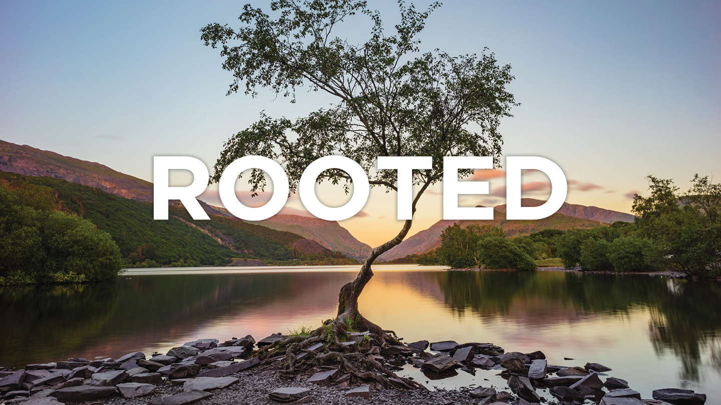 Rooted—A Journey to Transformation